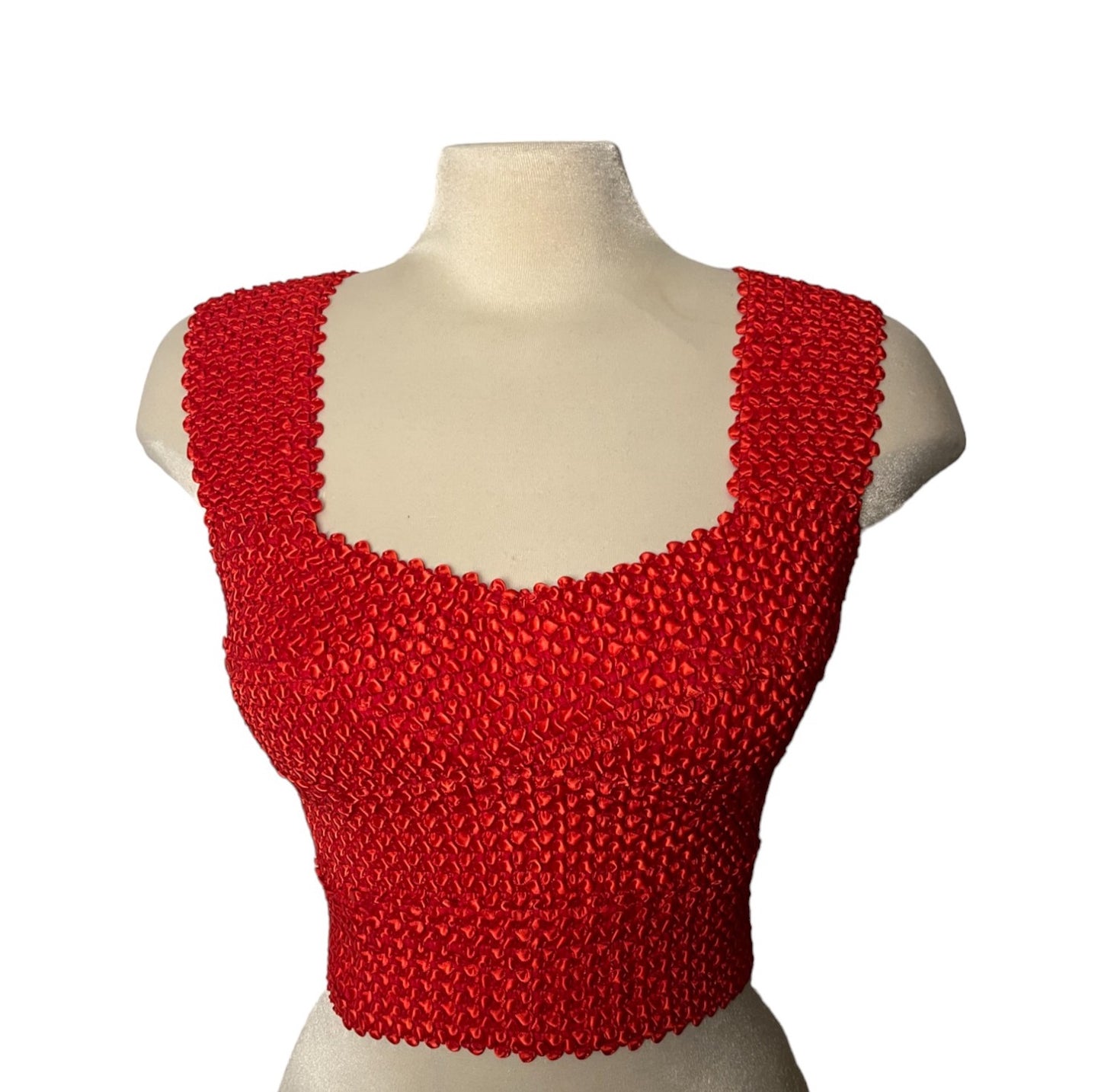 #1003 - Red Ribbon Elastic Bustier